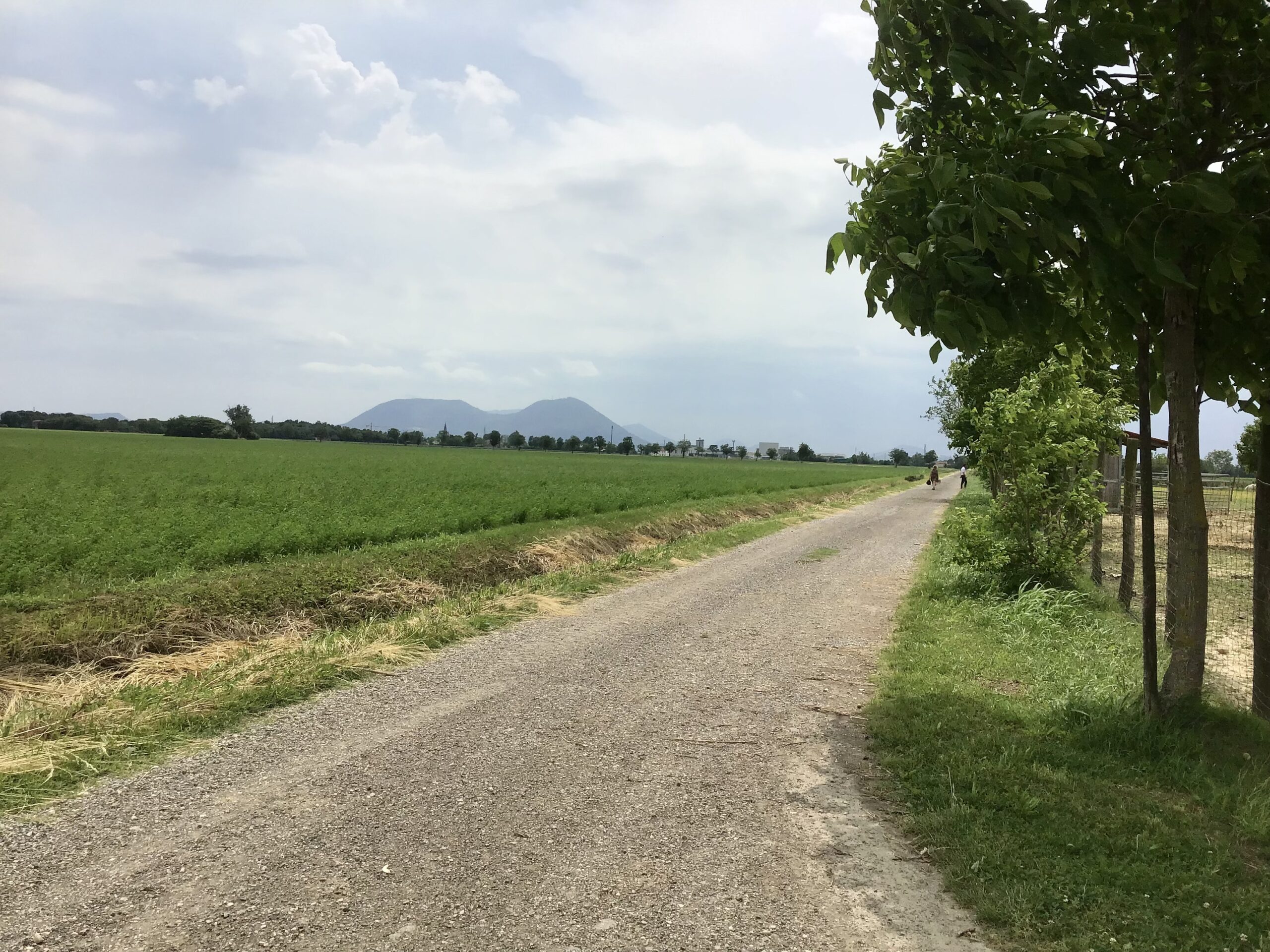 Campagna-padovana-scaled-1