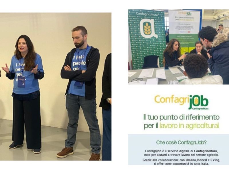 JOB-FAIR-JOB-FAIR-PER-SITO-800X600