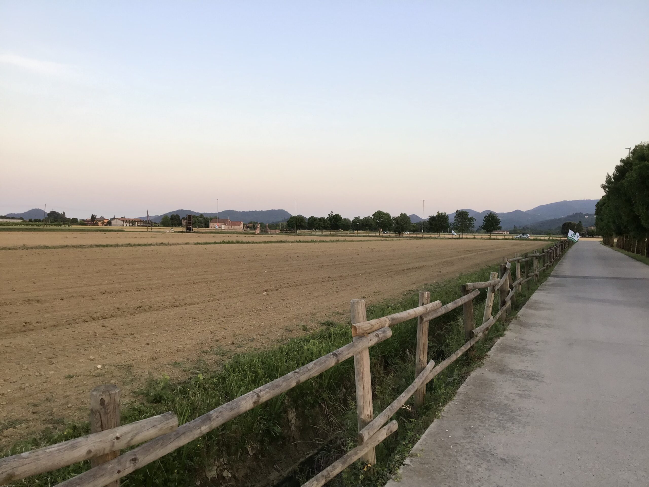 Un-campo-nei-Colli-Euganei-scaled-2