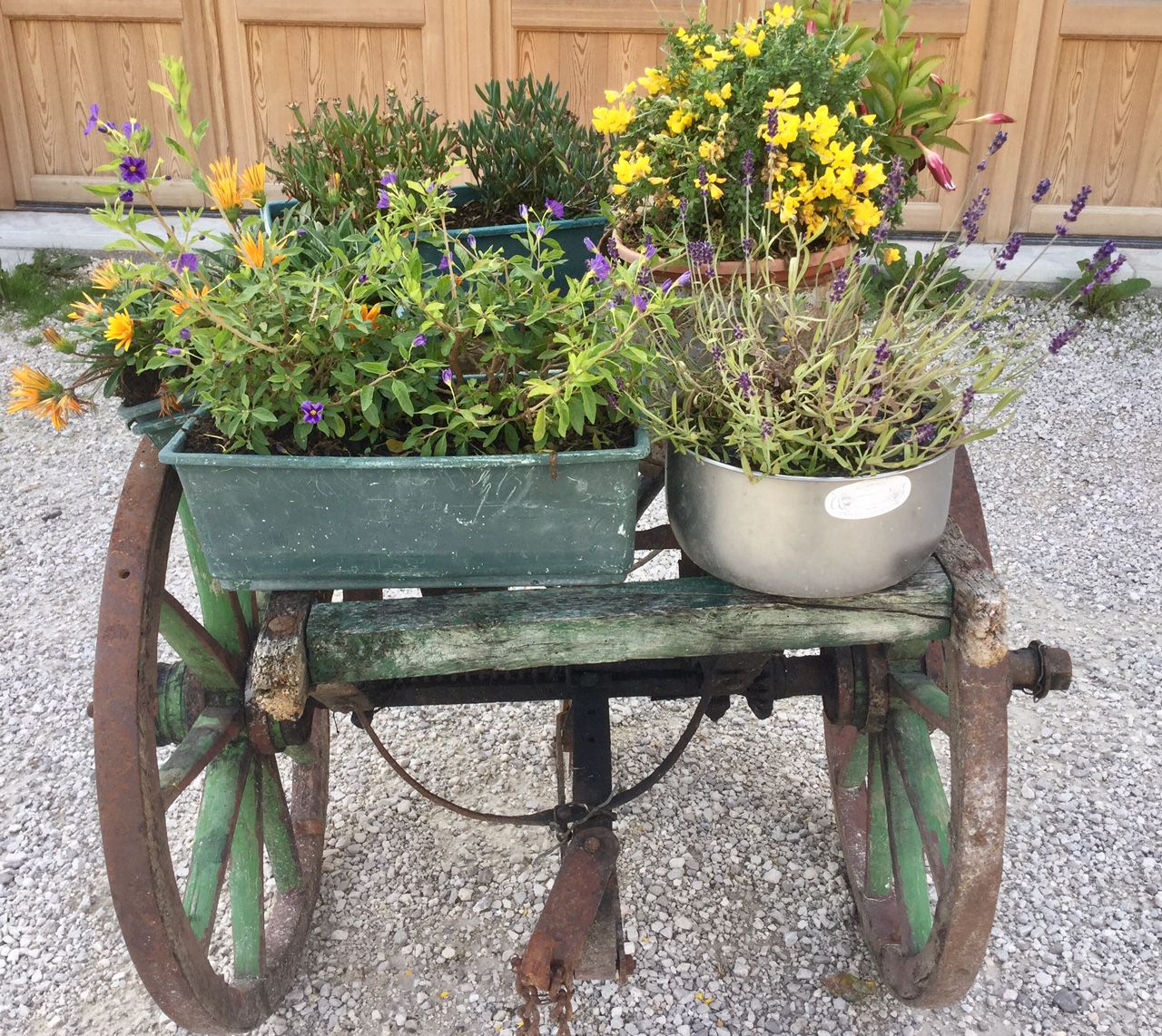 agricoltura-fiori-1