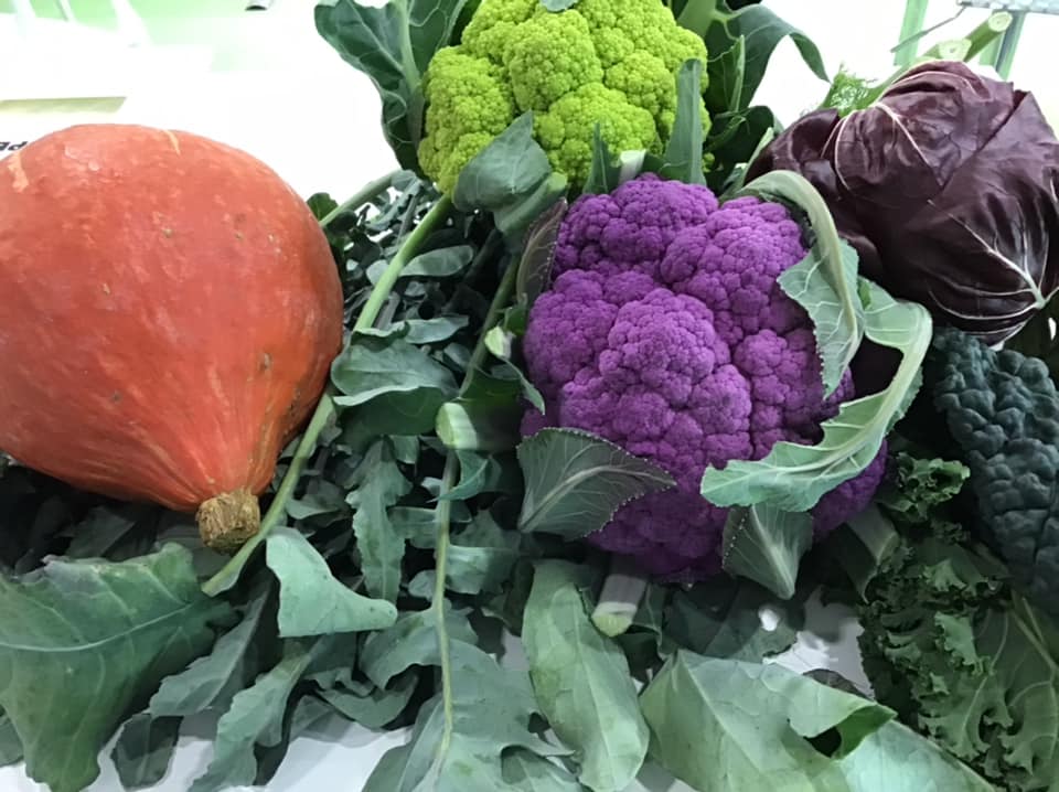 broccoli-bio