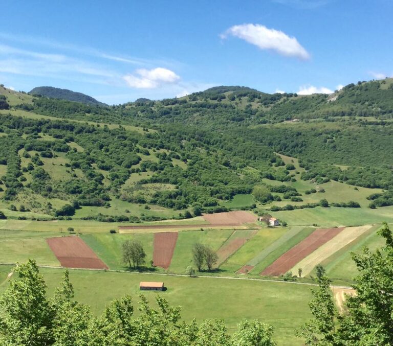 Paesaggi Rurali Storici: al via il Bando Terrazzamenti 2026 della Regione Veneto