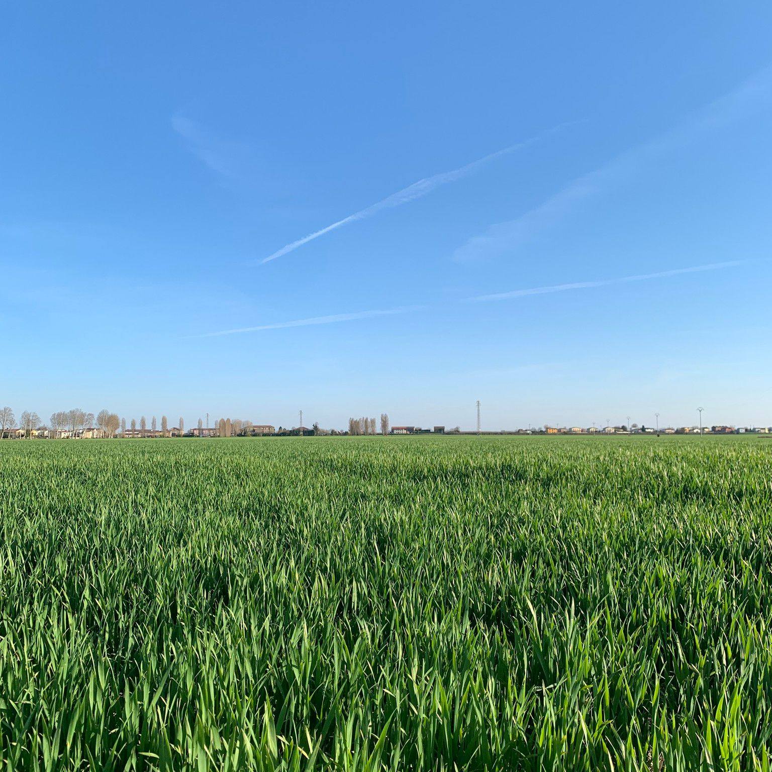 campo-di-orzo