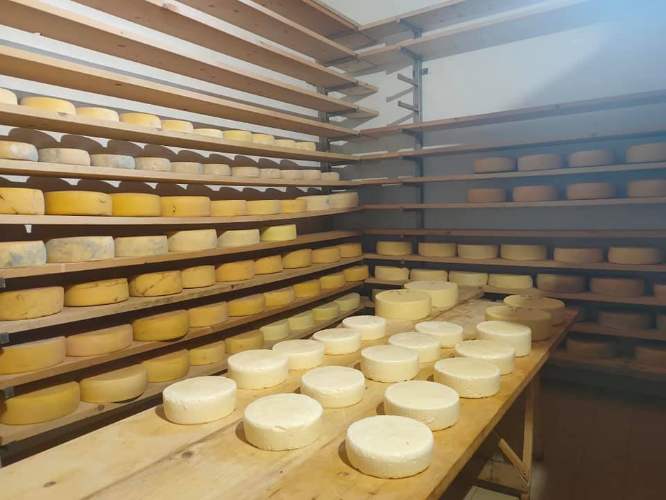 formaggi-malga