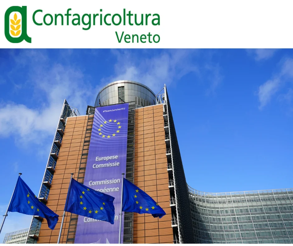 Mercosur – Approvato dal Parlamento il “freno di emergenza” per proteggere le produzioni agricole europee