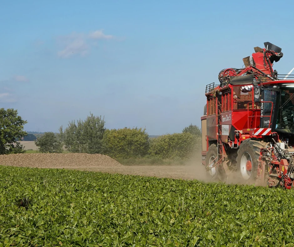 Campagna bieticola – Coprob sospende l’attività dell’impianto di Pontelongo
